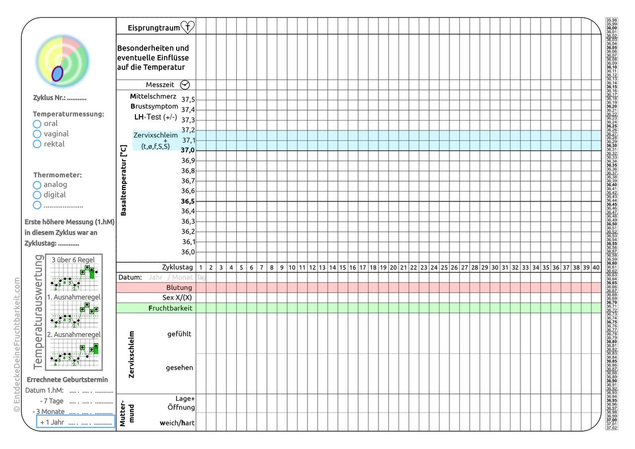 Schwanger Werden in 6 Monaten